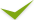 tick